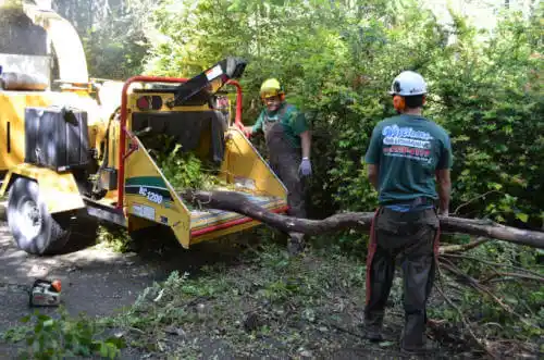 tree services Brinkley